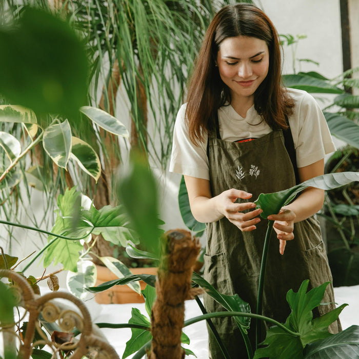 how many plants can fit in a greenhouse