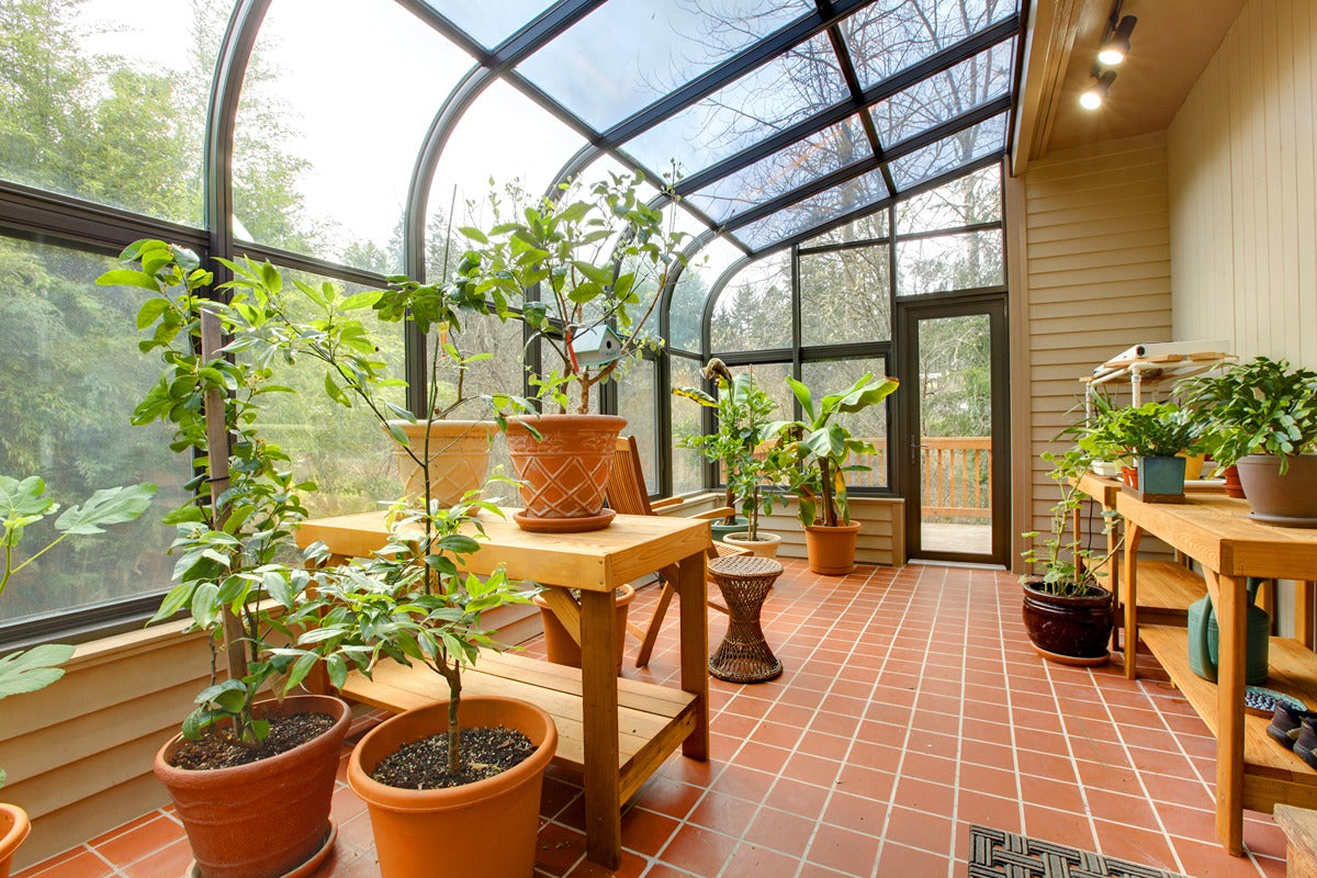 how much sun does a greenhouse need