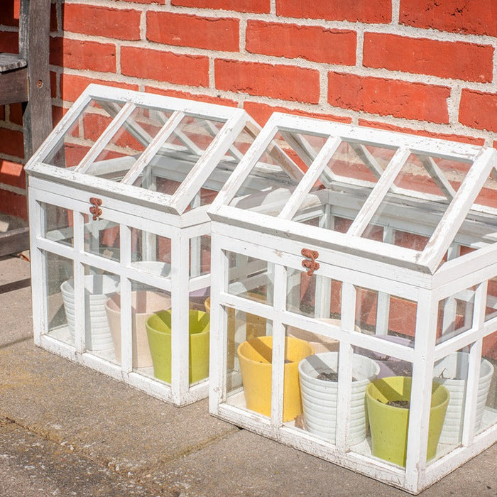 how to use a mini greenhouse for beginners
