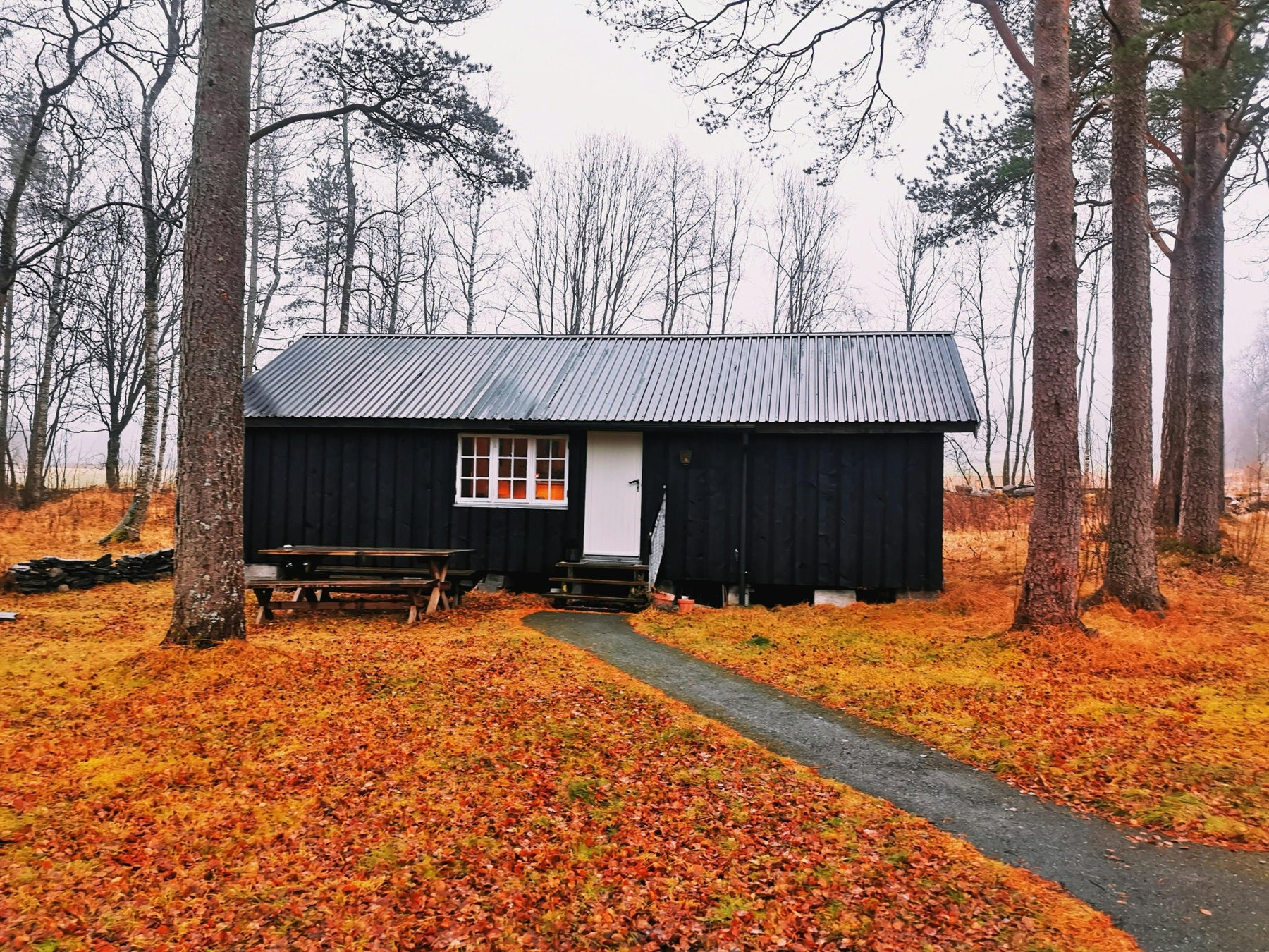what is a shed house