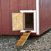 8x8 value a-frame chicken coop door