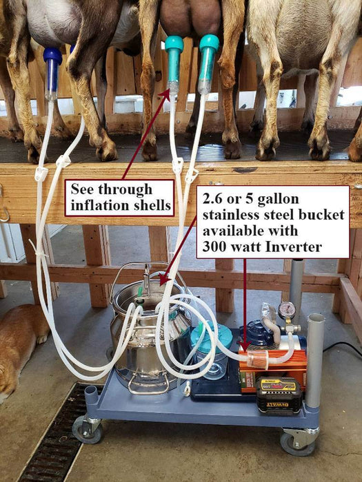 ultimate goate milker ss bucket with labels