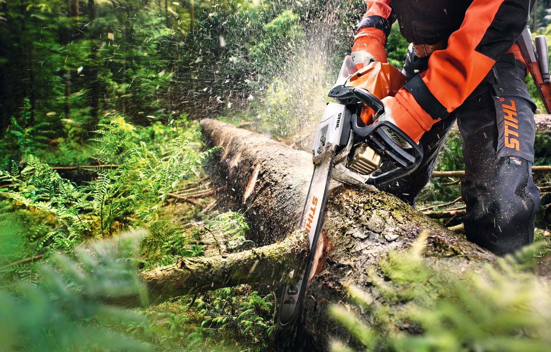 Top 5 Features to Look for When Buying a Petrol Chainsaw