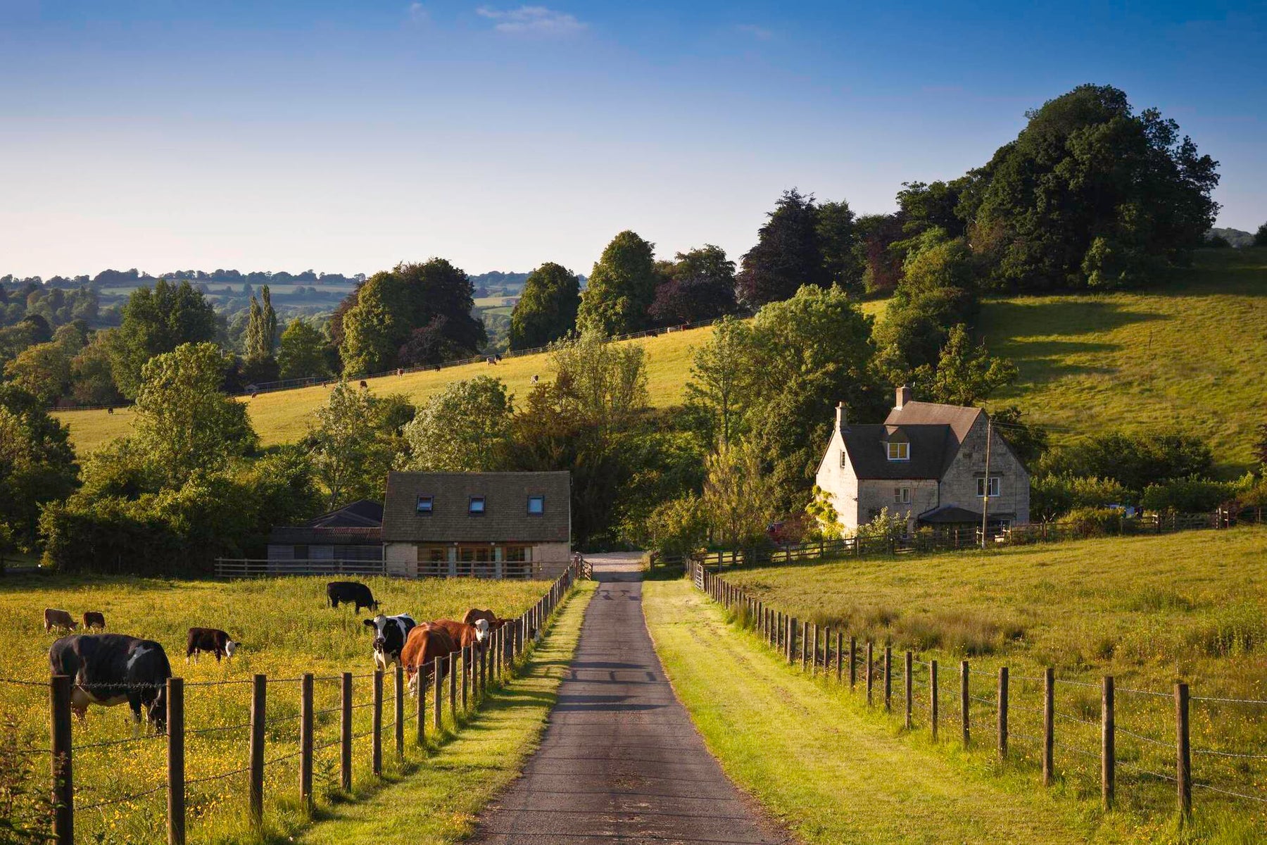 How to Maximize the Value of Your Rural Property
