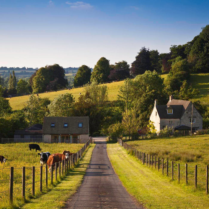 How to Maximize the Value of Your Rural Property
