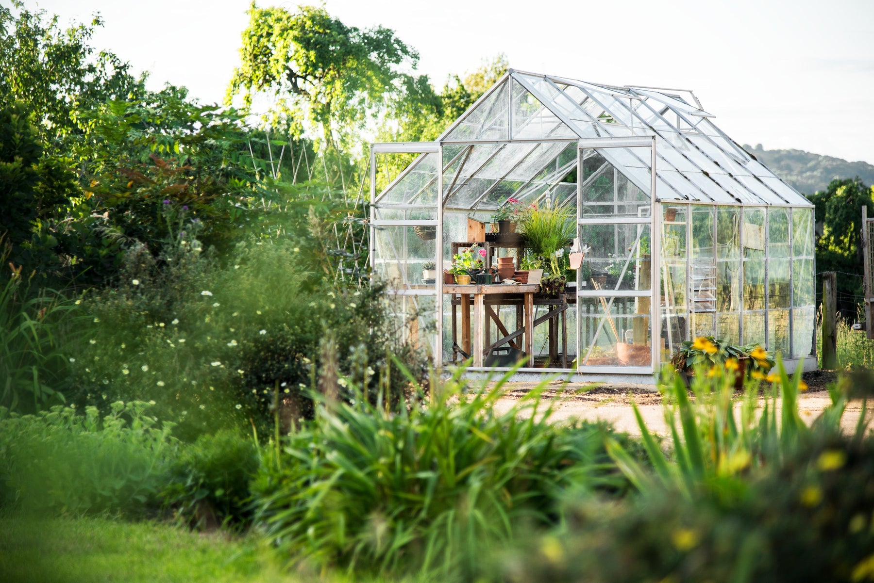 best material for greenhouse