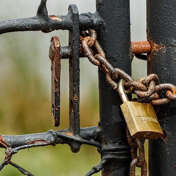 shed security