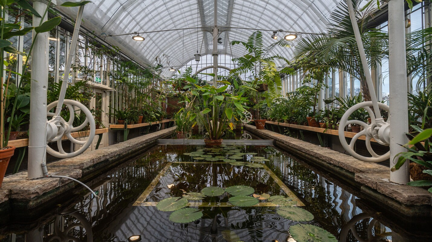 how to build an aquaponics greenhouse