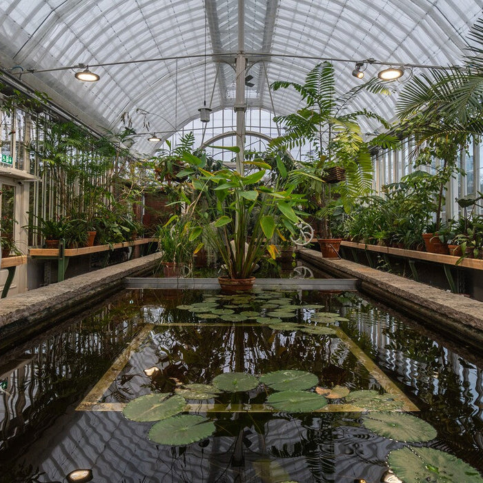how to build an aquaponics greenhouse