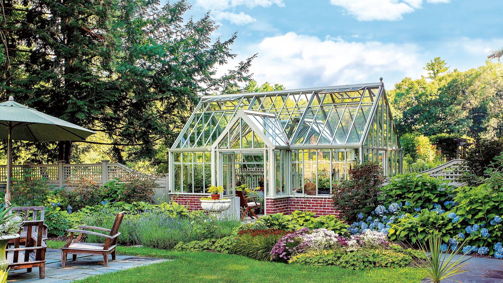 Green shield: Plants for different rooms and conditions — landscaping with light, humidity, and pets in mind