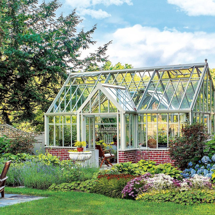 Green shield: Plants for different rooms and conditions — landscaping with light, humidity, and pets in mind