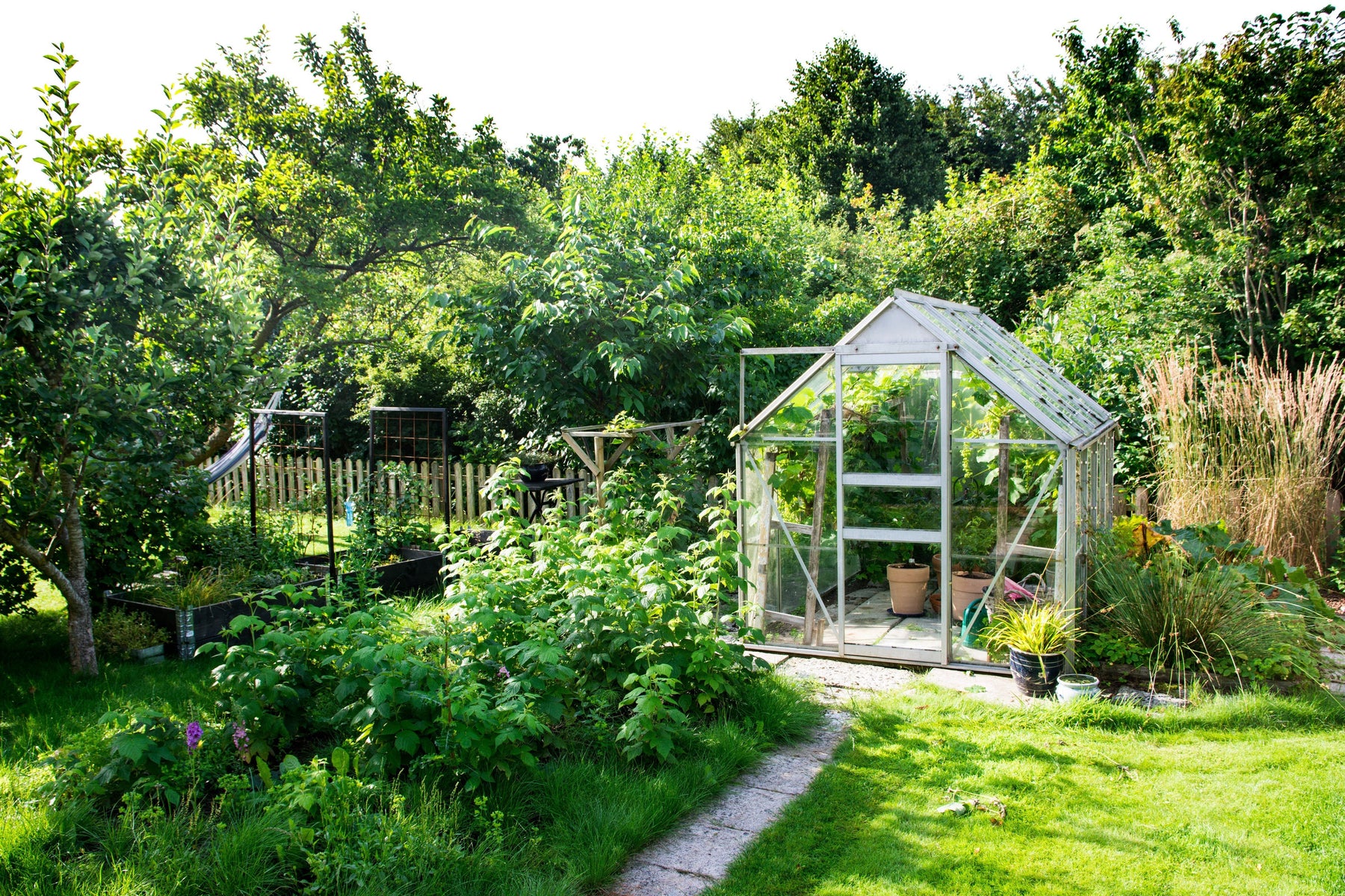 how to buy a greenhouse