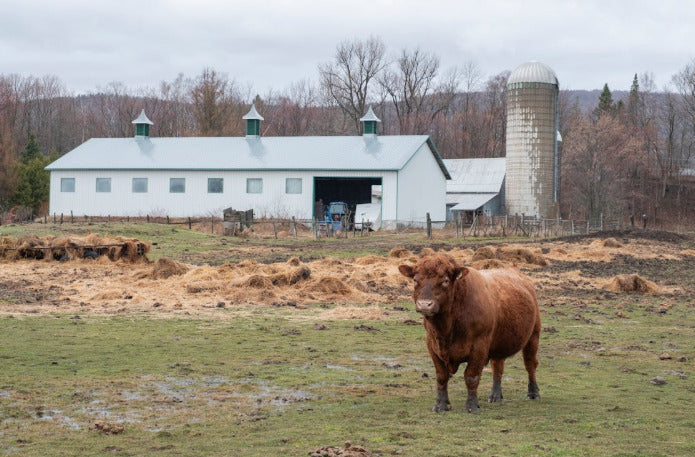 Financing a Homestead When You’re Self-Employed: What Traditional Banks Don’t Tell You