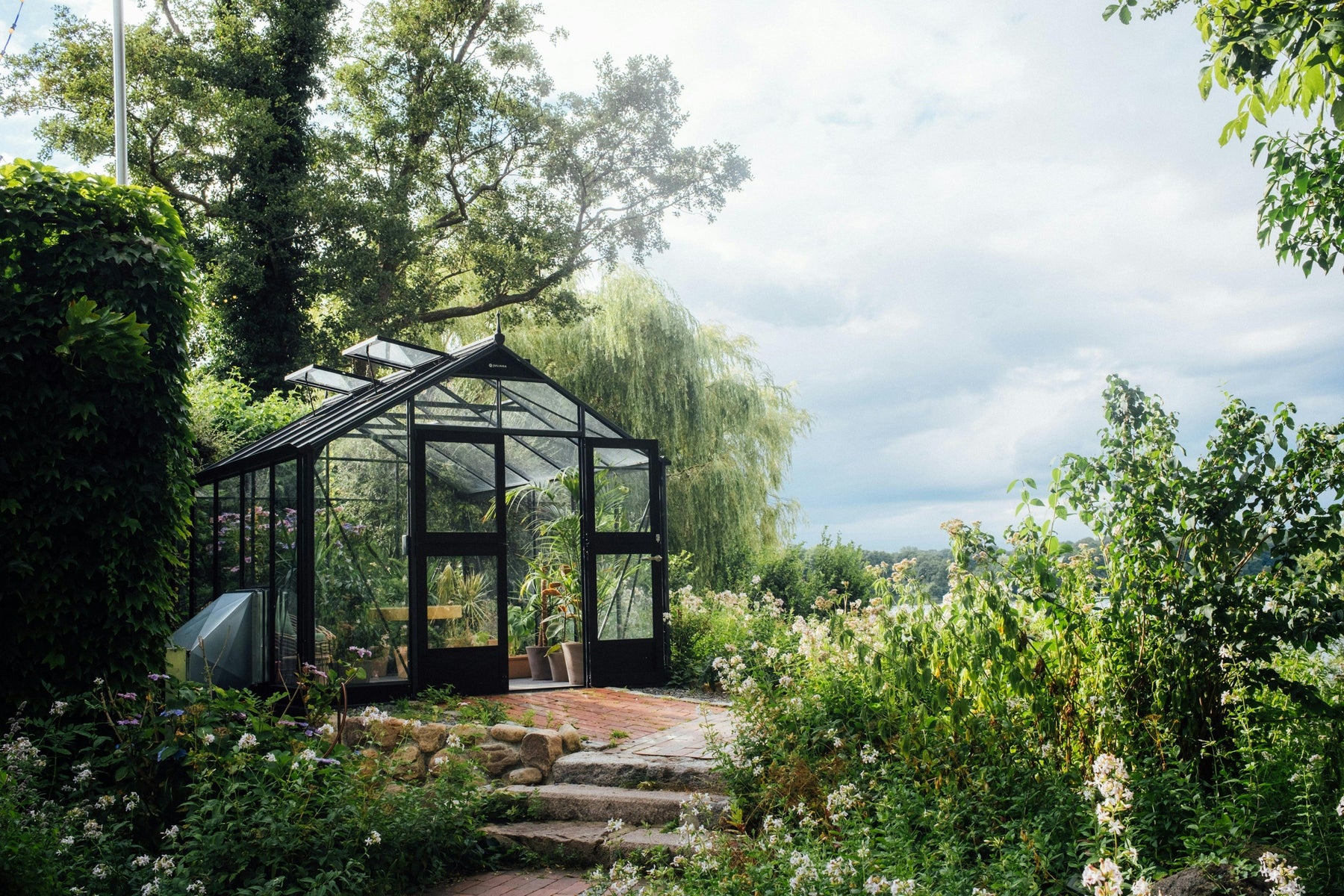 where to position a mini greenhouse