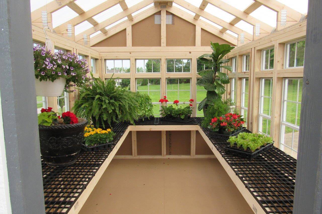 plastic vs glass greenhouse