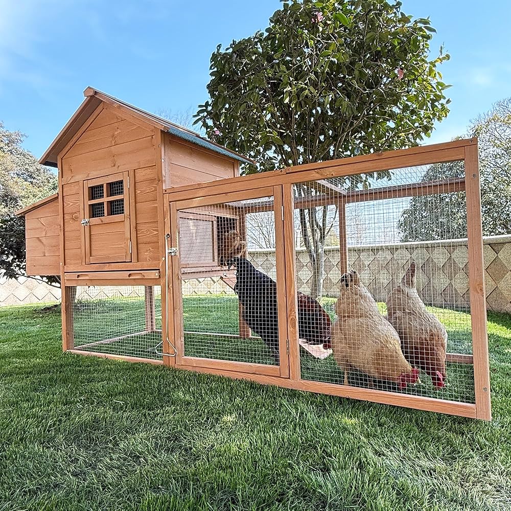 8 Tips for Maintaining a Clean and Healthy Chicken Coop