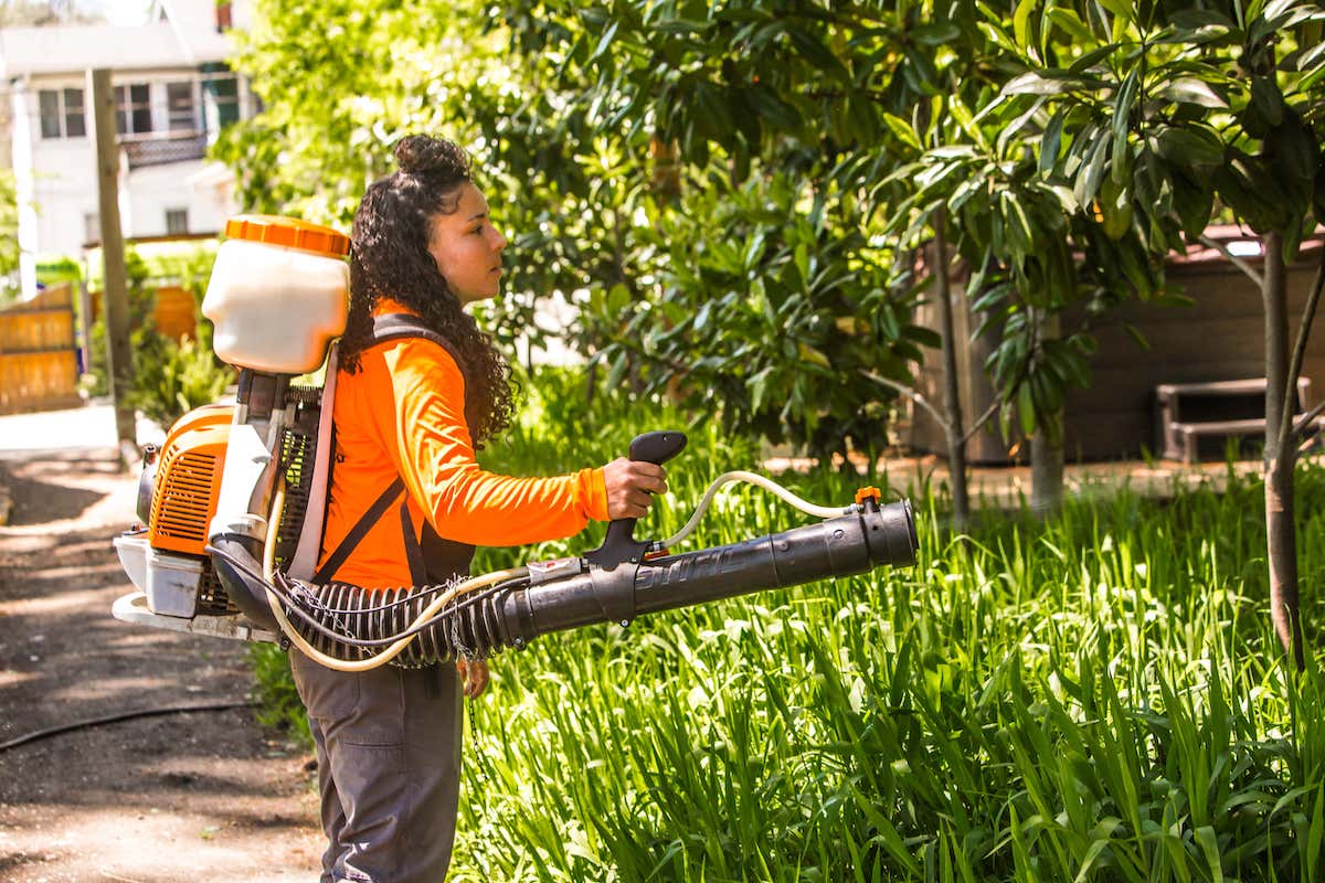 Beyond Screens: Layered Mosquito Control for Outdoor Living