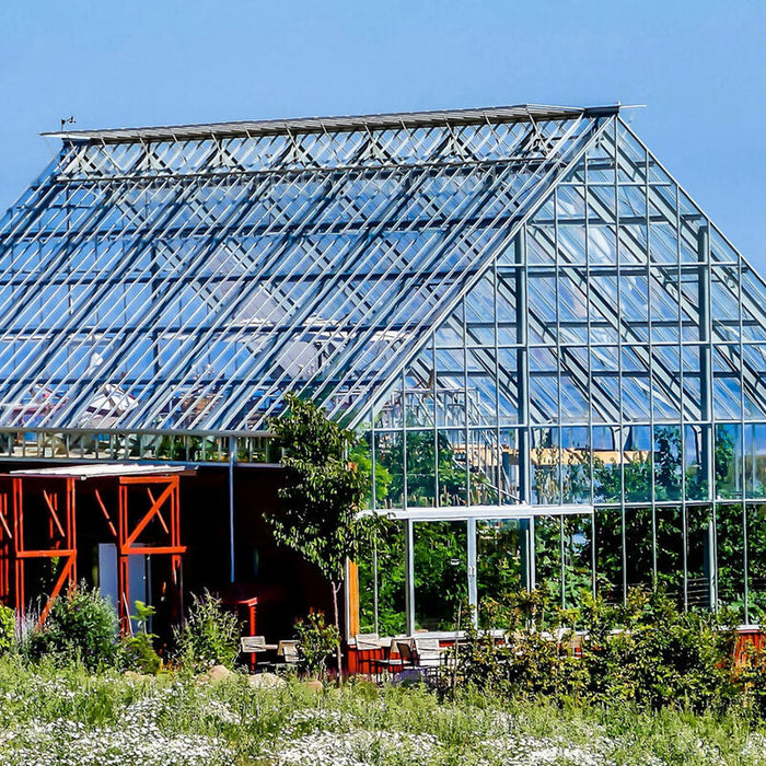 Why Every Garden Needs a Greenhouse – Practical Benefits