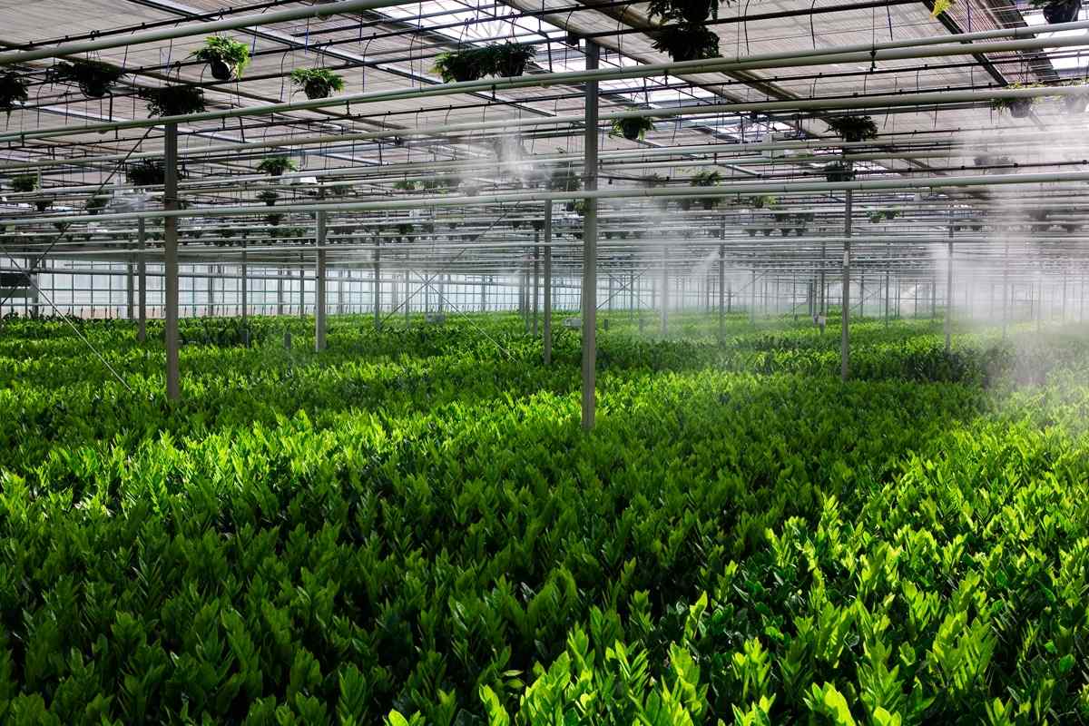Greenhouse Systems Designed for Different Climates