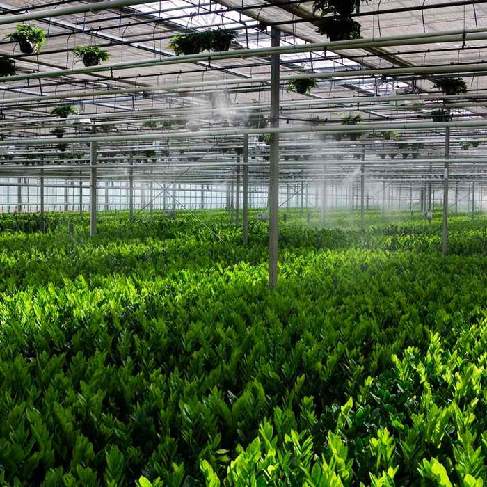 Greenhouse Systems Designed for Different Climates