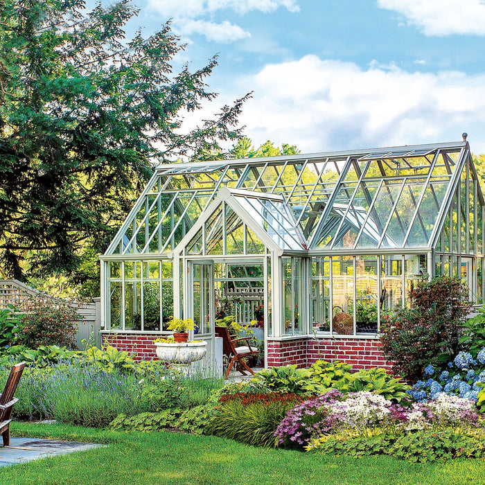 Green shield: Plants for different rooms and conditions — landscaping with light, humidity, and pets in mind