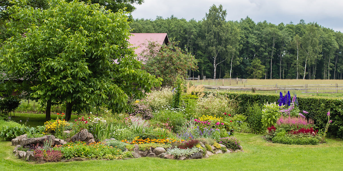 Protecting Your Homestead from Water Damage and Soil Erosion