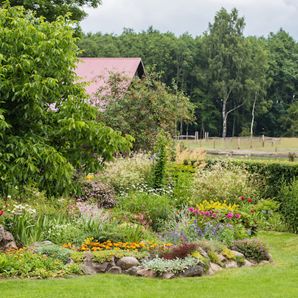 Protecting Your Homestead from Water Damage and Soil Erosion