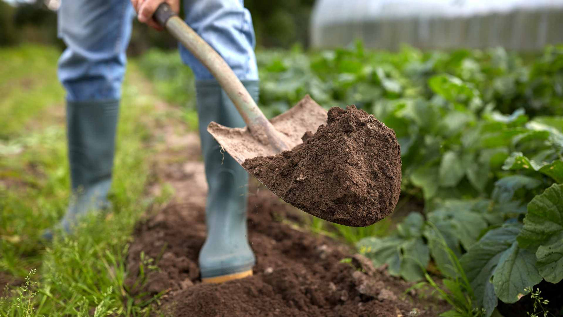 What’s Underground Before You Break Ground: A Homesteader’s Guide to Safe Digging