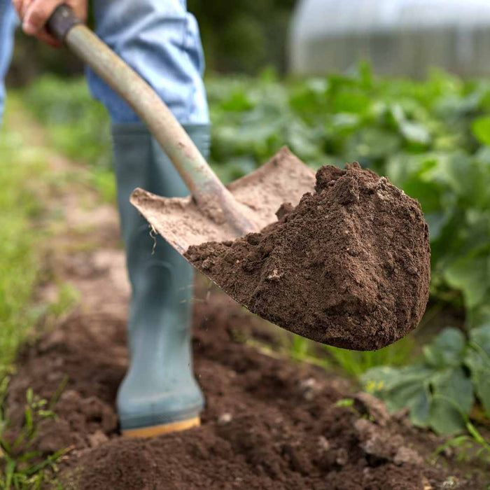 What’s Underground Before You Break Ground: A Homesteader’s Guide to Safe Digging