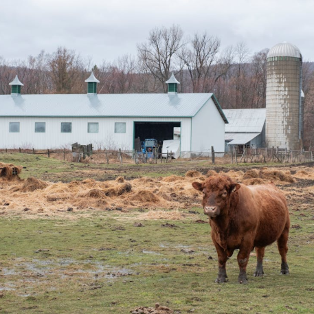 Financing a Homestead When You’re Self-Employed: What Traditional Banks Don’t Tell You