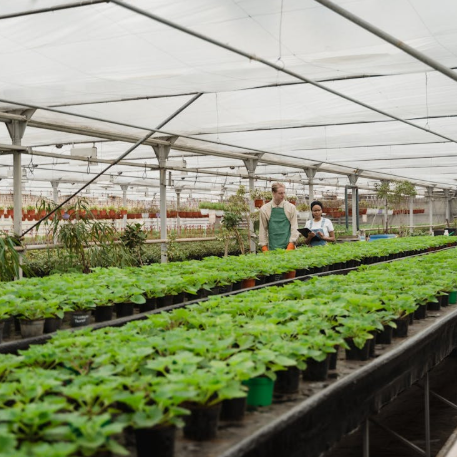 How to Start a Profitable Greenhouse Side Business