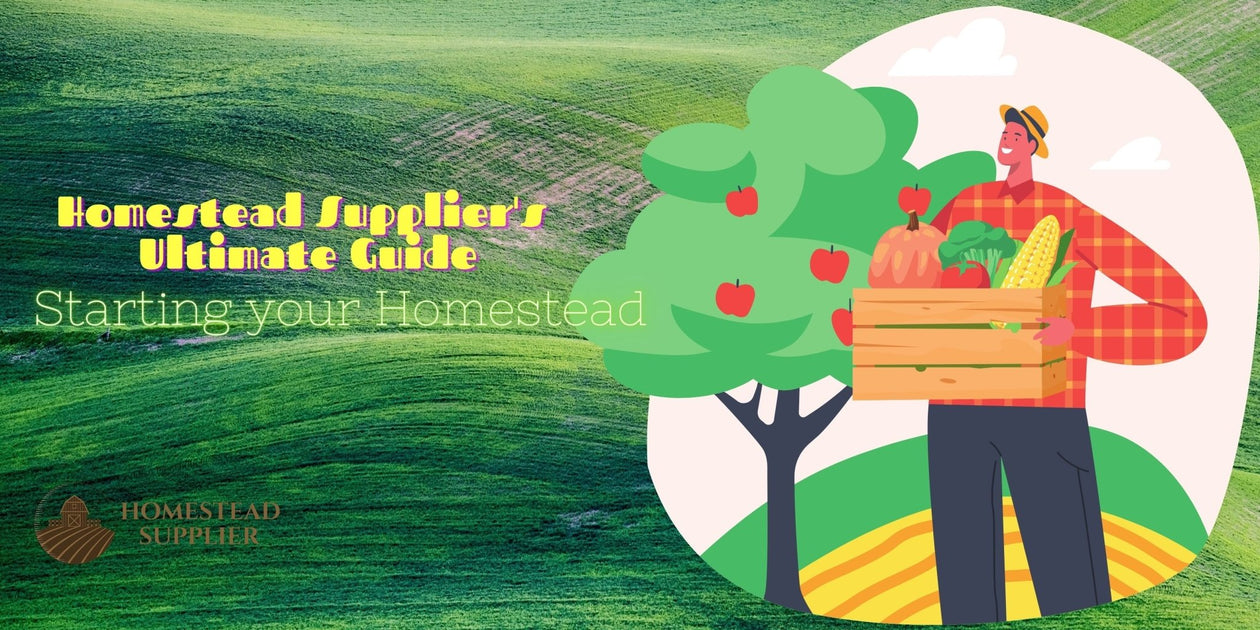 The Homestead Must-Haves for an Eco-Friendly Lifestyle
