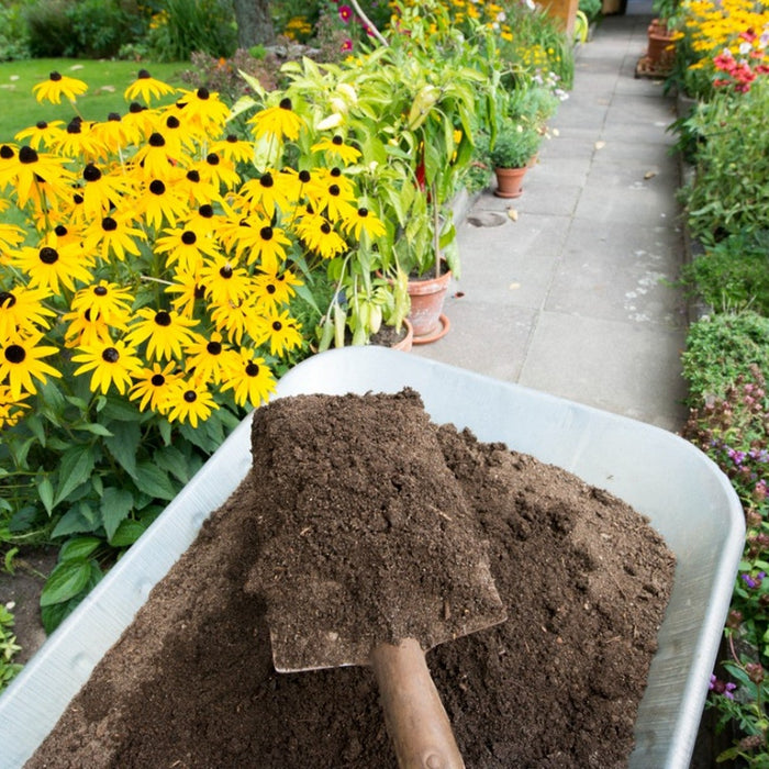 Smart Ways to Add Compost & Mulch to Your Yard Design