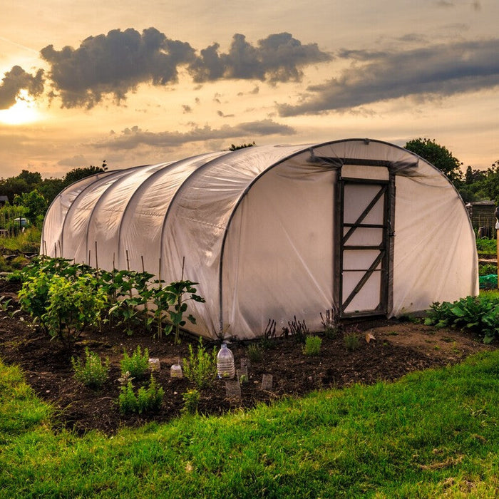 high tunnel vs greenhouse