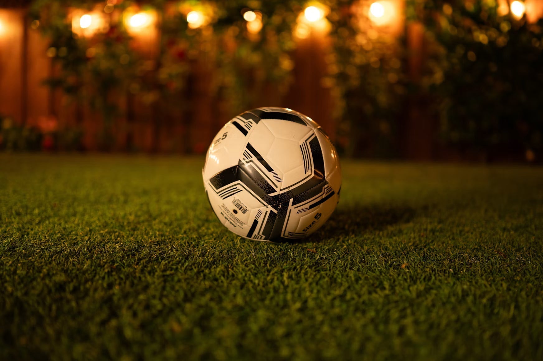 Soccer ball on a backyard lawn prepared for outdoor training