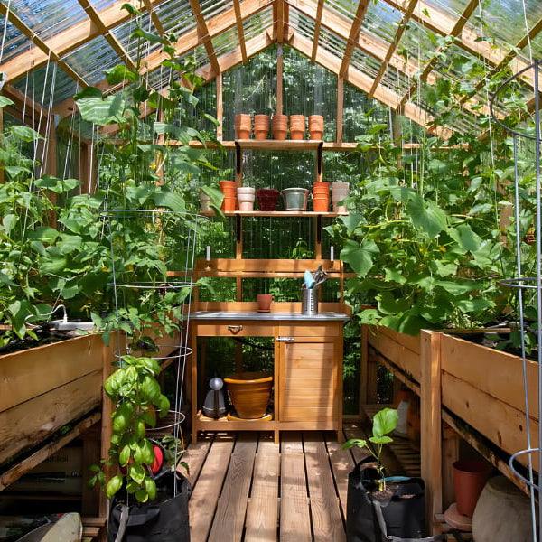 Best Greenhouse Layout