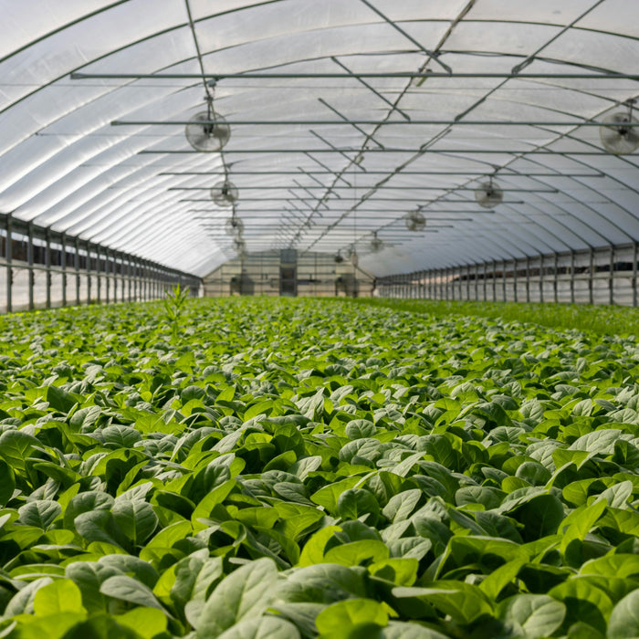 best american made greenhouse
