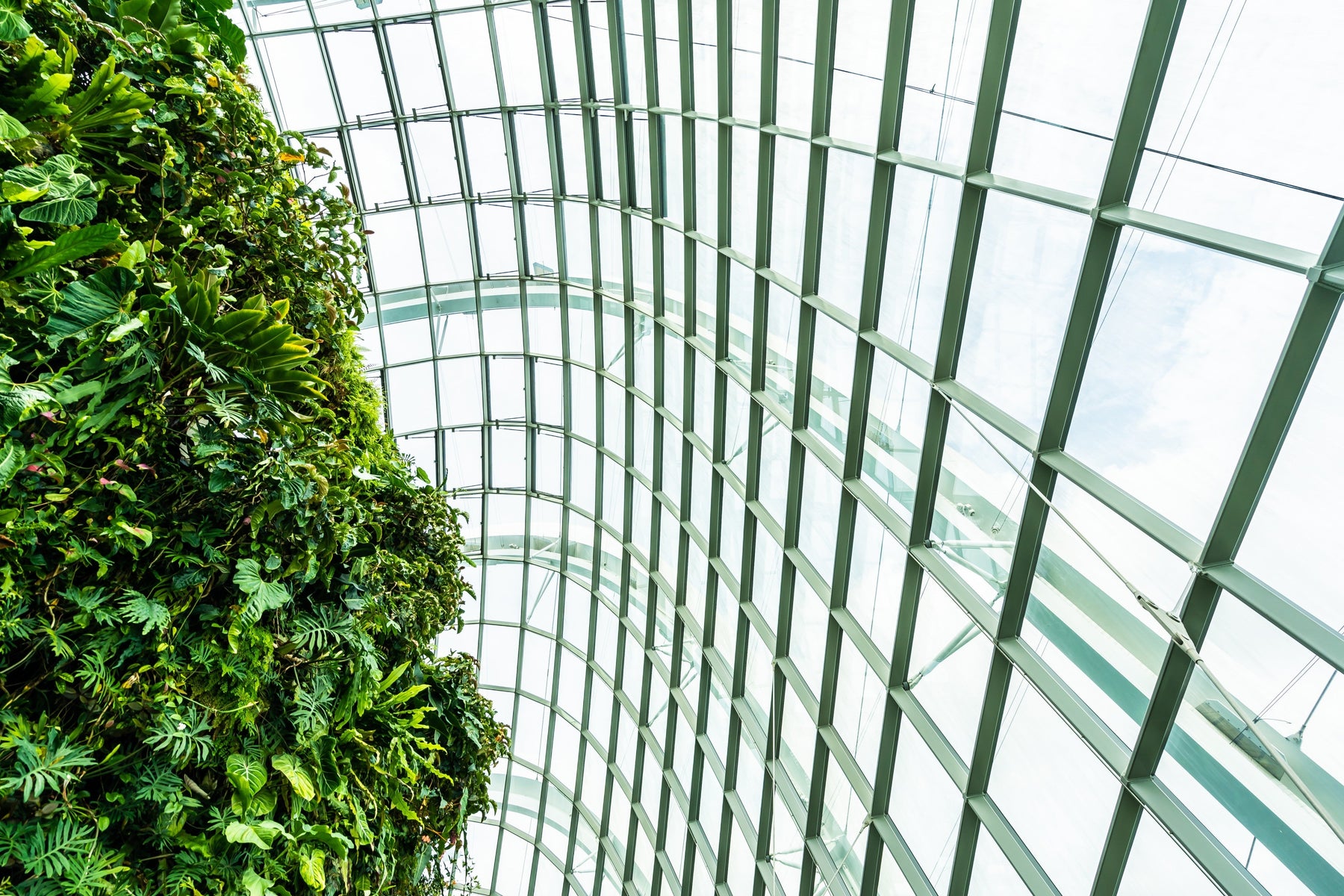 best greenhouse glass