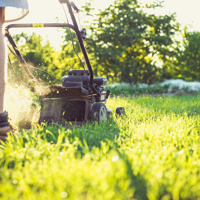 best lawn mower storage shed