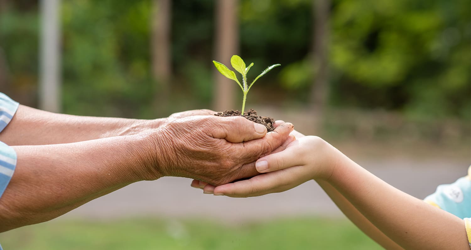 Sustainability as a Lifestyle for the Next Generation