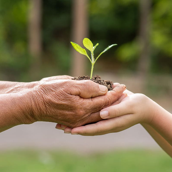 Sustainability as a Lifestyle for the Next Generation