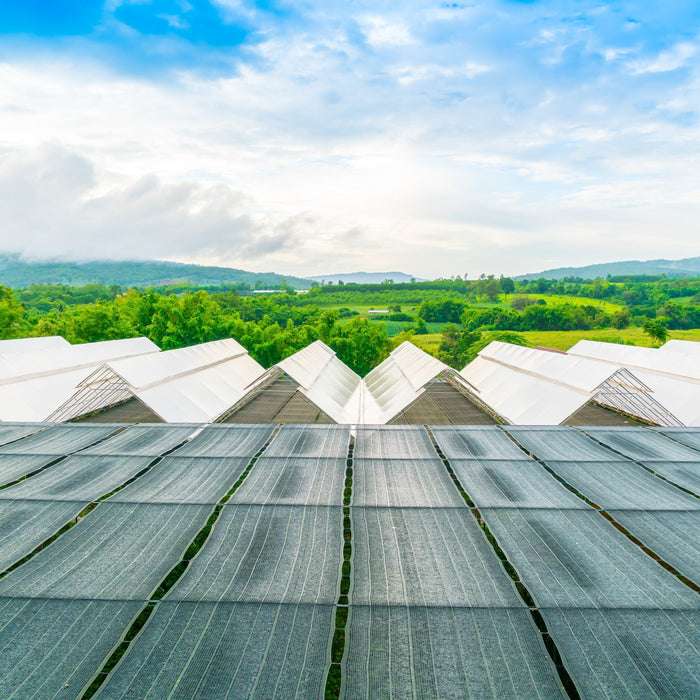 build a solar greenhouse