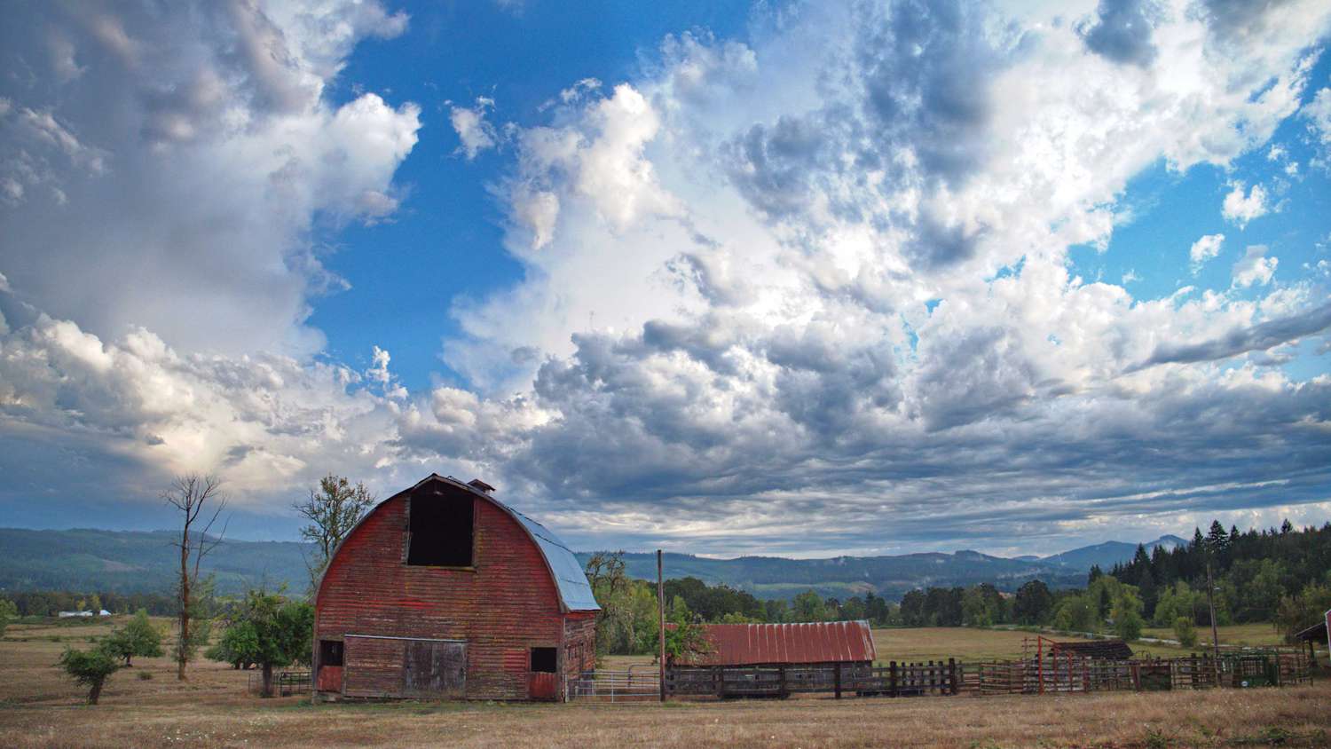 How to Maximize Your Land on a Homestead