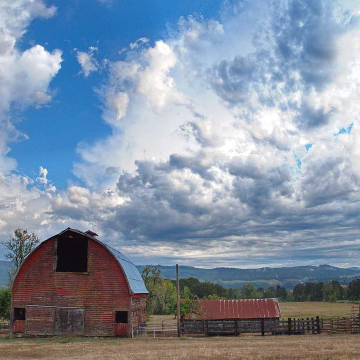 How to Maximize Your Land on a Homestead