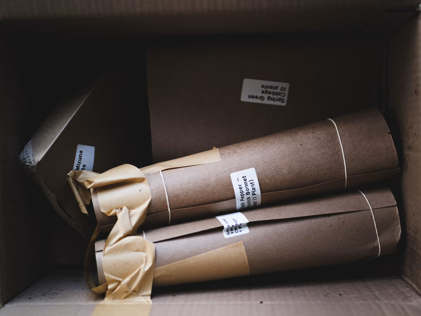 Cardboard packaging tubes and wrapped items inside a box
