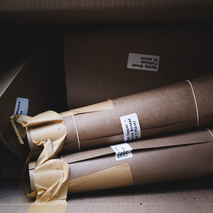 Cardboard packaging tubes and wrapped items inside a box