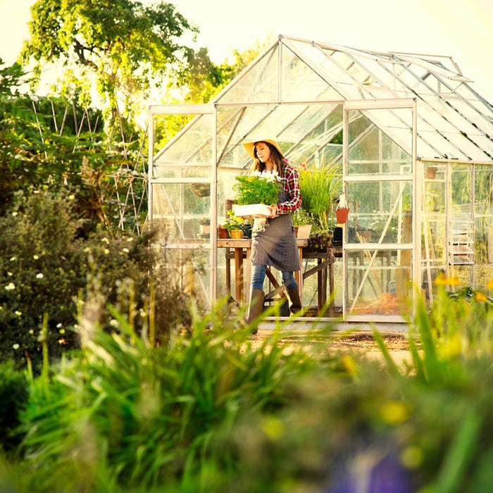 cheapest way to heat a greenhouse