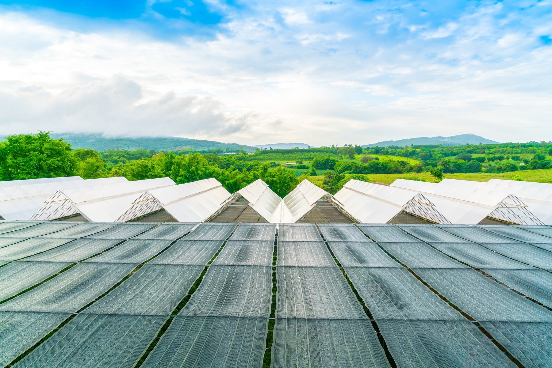 build a solar greenhouse