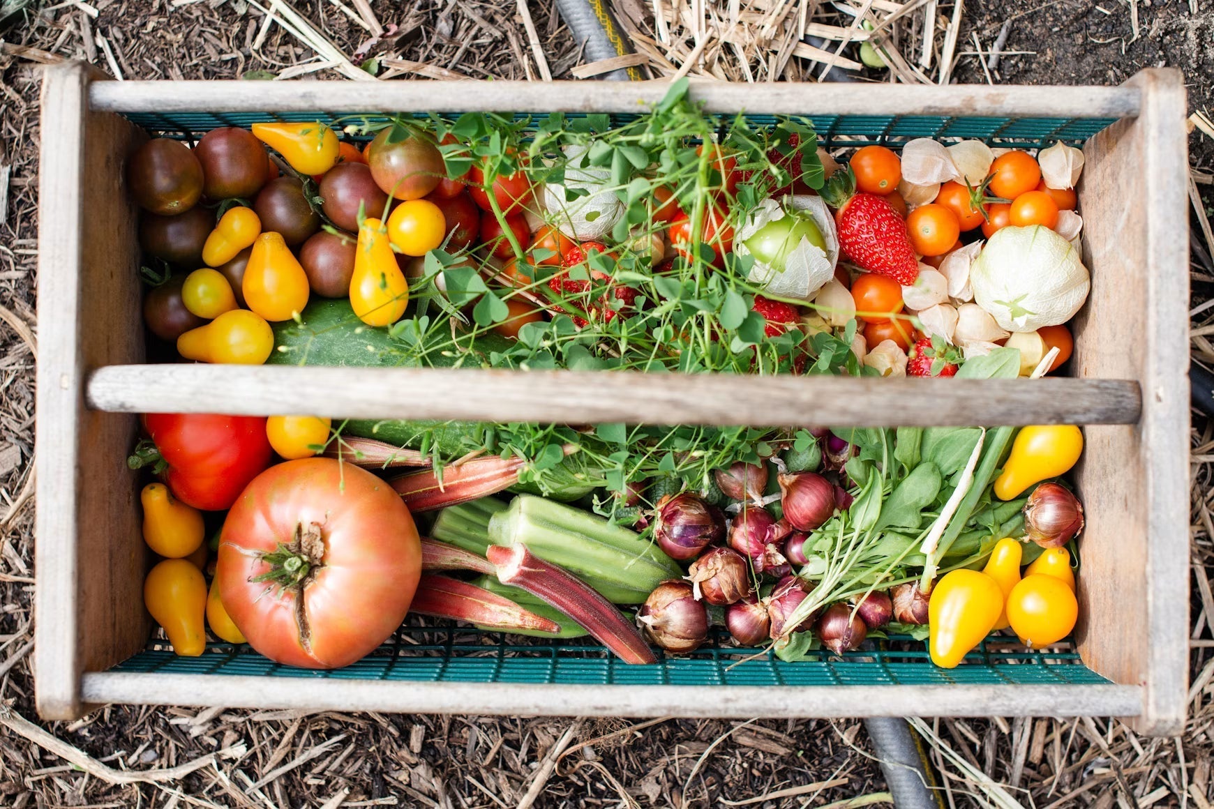 Fresh vegetables sorted inside a wooden harvest crate