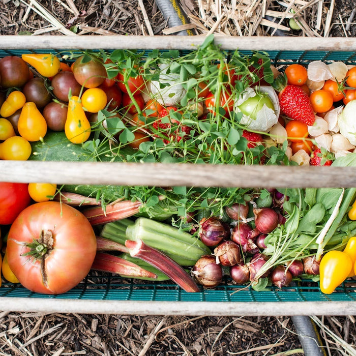 Fresh vegetables sorted inside a wooden harvest crate